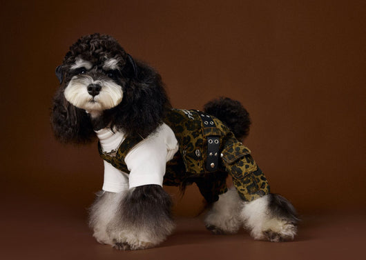 Overol para Perro Estampado Leopardo Otoño - Image 12