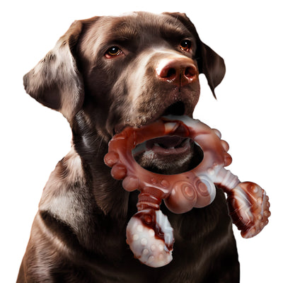 Juguete Resistente de Nylon para Perros - Diversión Duradera