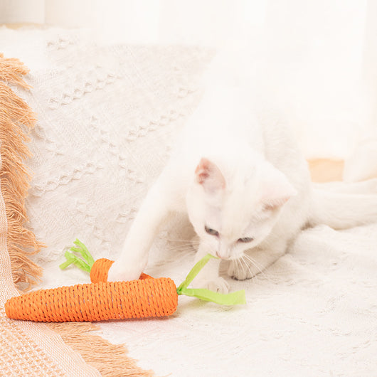 Juguetes Interactivos para Gatos - Palos de Hierba Gatera y Piedras Sonoras - Image 8