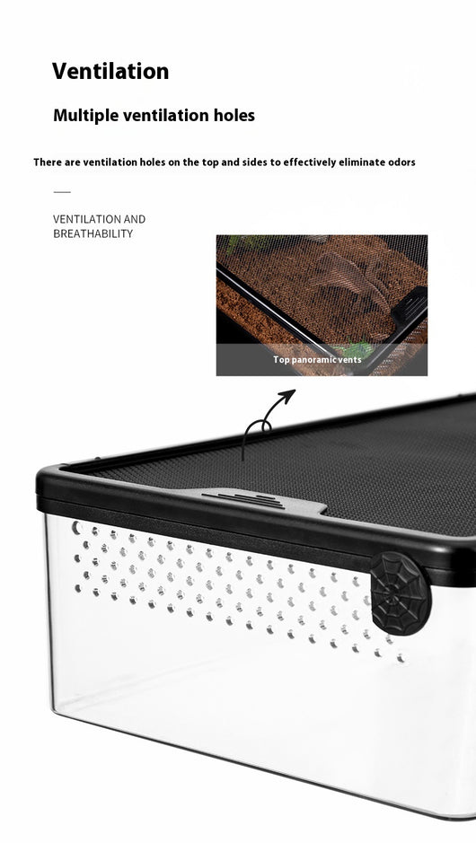 Jaula Cilíndrica Antiescapes para Tortugas, Hámsters y Serpientes - Comedero Automático - Image 10