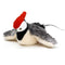 Woodpecker 12x9x12 Cm 1 Pieza