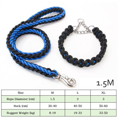 Collares y Correas para Perros de Nylon Reforzado - Entrenamiento y Paseos - Image 16