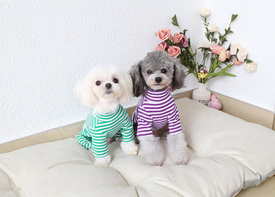 Mallas Deportivas para Mascotas con Rayas de Ocho Colores - Image 23