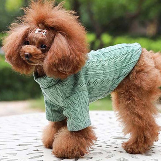 Suéter Tejido para Perro - Colores Puros Otoño Invierno