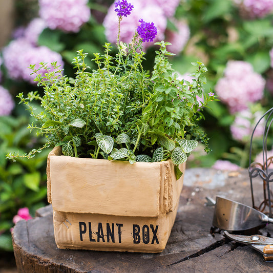 Maceta Creativa de Papel Cemento para Plantas de Interior y Balcón - Image 2