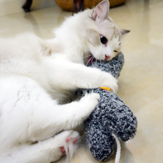 Almohada de Hierba Gatera para Gatos - Juguete Interactivo Felino - Image 7