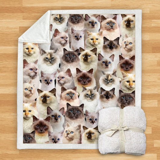 Manta Franela Estampada para Perros - Image 19