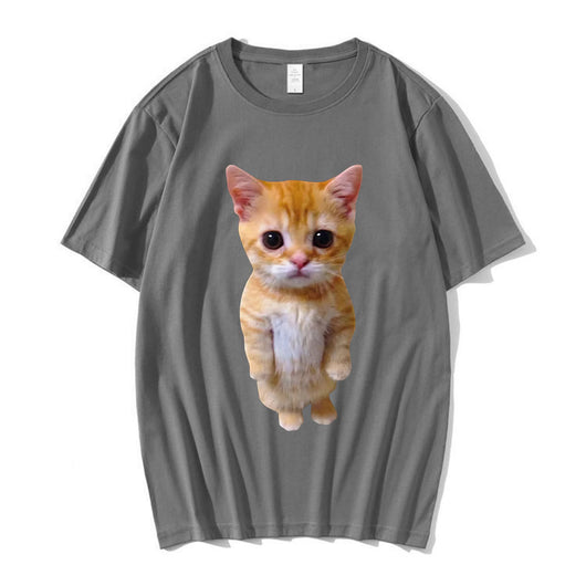 Gatito Triste Llorando - Peluche Munchkin Adorable - Image 15