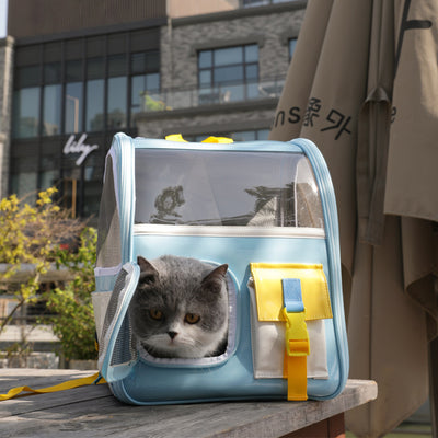 Mochila Transparente Portátil para Mascotas - Bolsa de Viaje Respirable con Diseño Moderno - Image 9
