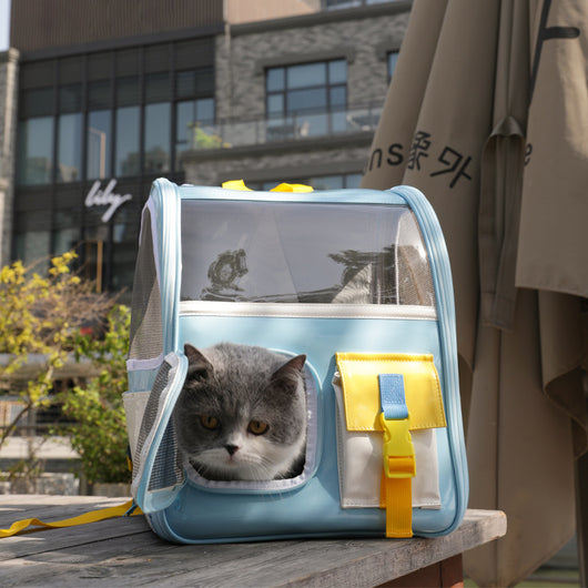 Mochila Transparente Portátil para Mascotas - Bolsa de Viaje Respirable con Diseño Moderno - Image 9