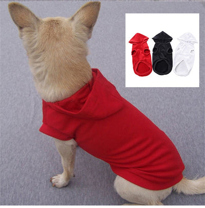 Sudadera Ligera con Capucha para Perros Pequeños - Primavera Verano - Image 16