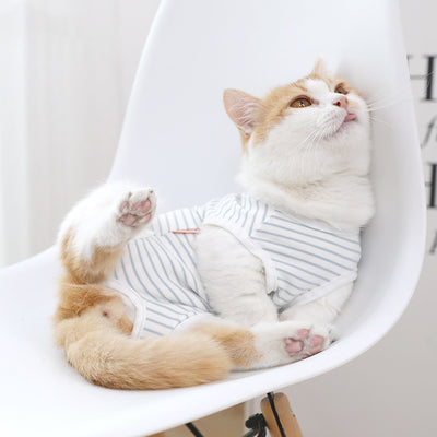 Ropa para Gatos Transpirable Cuatro Estaciones - Sección Fina - Image 3