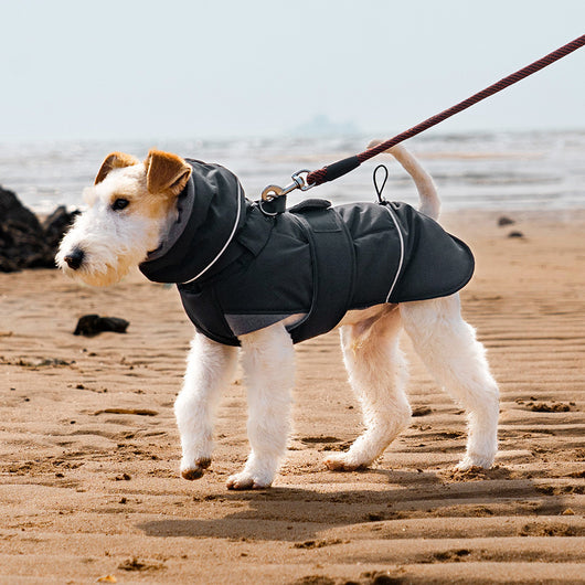 Abrigo Impermeable para Perros - Protección Contra Viento y Frío - Image 3