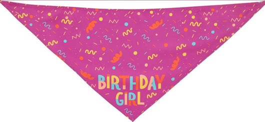 Pañuelo Triangular para Perros con Juguete Hueso y Toalla Absorbente - Image 10