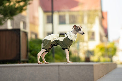 Abrigo Térmico para Mascotas con Cuello Desmontable Resistente al Viento - Image 15