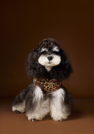 Suéter Tipo Hoodie sin Mangas Estampado Leopardo para Perros Bichon Schnauzer Yorkshire - Image 17
