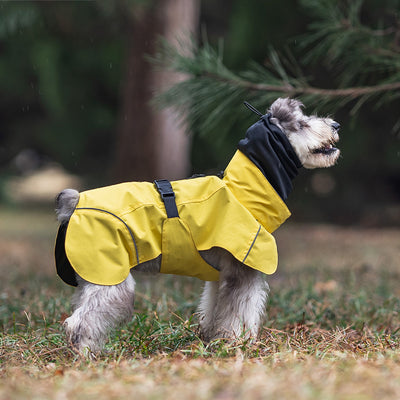 Poncho Impermeable Universal para Perros Pequeños y Medianos - Image 7