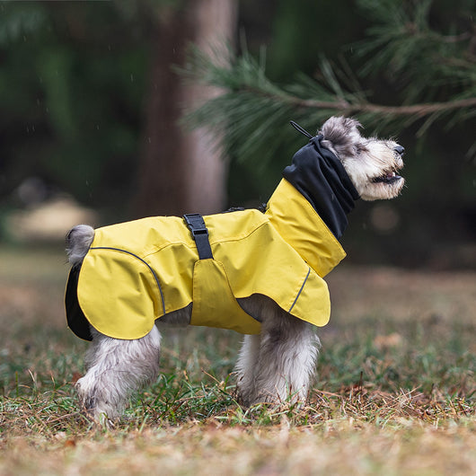 Poncho Impermeable Universal para Perros Pequeños y Medianos - Image 7
