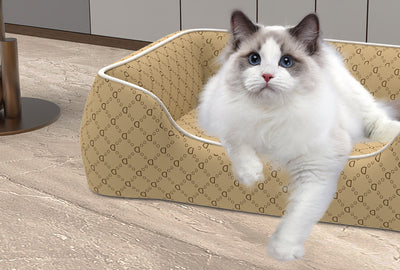 Cama Impermeable para Perros Pequeños - Resistente a Mordidas, Lavable y Para Todas las Estaciones - Image 20