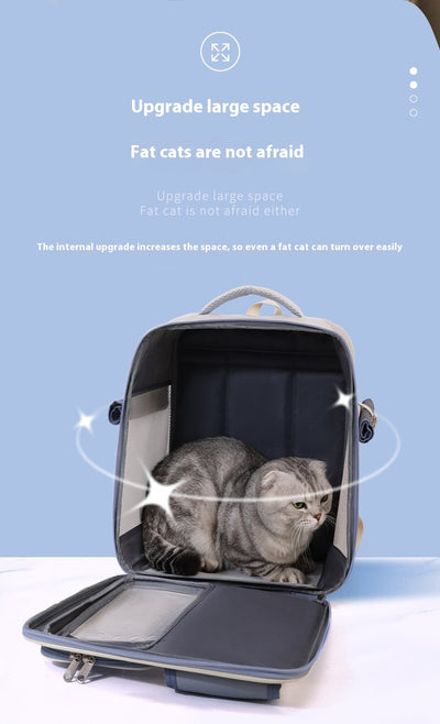 Mochila Transportín para Gatos - Diseño Versátil Todo Clima - Image 16
