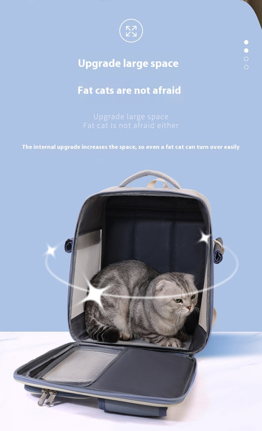 Mochila Transportín para Gatos - Diseño Versátil Todo Clima - Image 16