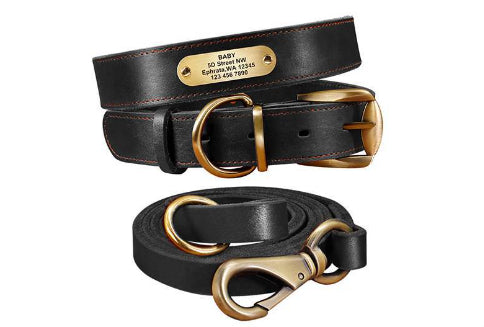 Collares Personalizados para Perros Medianos y Grandes con Placa de Identificación - Image 12