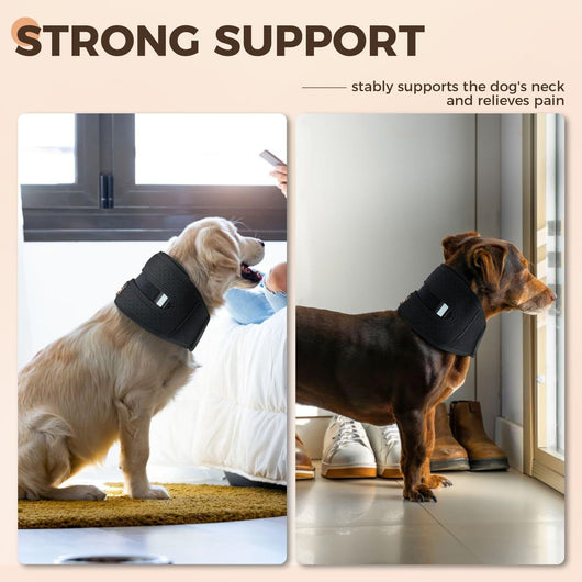 Collar de Soporte Veterinario Ajustable - Protección Anti-lametazos para Perros Pequeños, Medianos y Grandes - Image 5