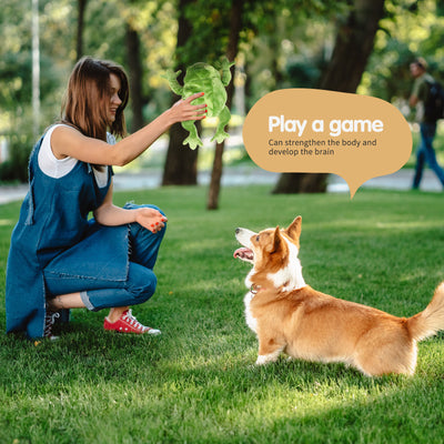 Juguete Peluche Golden Retriever Interactivo con Sonido y Resistencia a Mordidas - Image 3