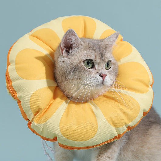 Collar Isabelino Suave para Gatos Anti-Lameduras y Mordeduras - Image 10