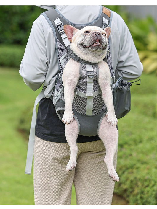 Mochila Transpirable para Perros con Malla Ventilada - Image 13