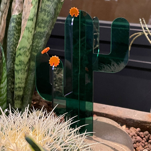 Decoración de Escritorio Cactus Acrílico - Image 7