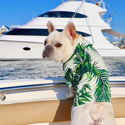 Playera Estilo Europeo y Americano con Diseño de Corgi y Shiba Inu - Image 5