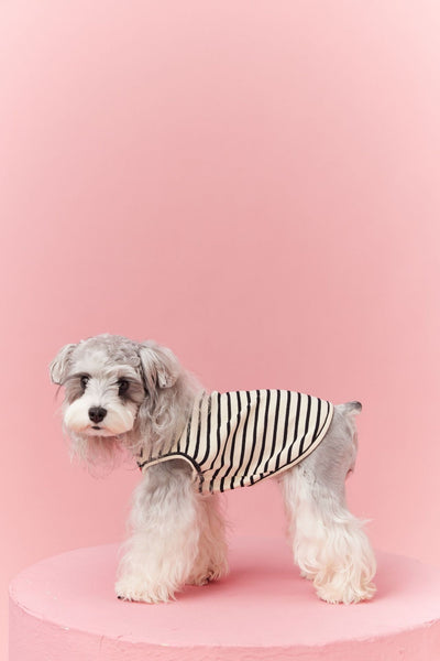 Chaleco sin Mangas Schnauzer Teddy Bichón a Rayas Cerezo - Image 19