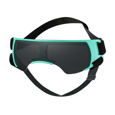 Gafas de Sol Protectoras UV para Perros - Image 14