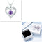 Female 925 Plateado Twelve Birthstone Pendant Necklace Platinum Box February