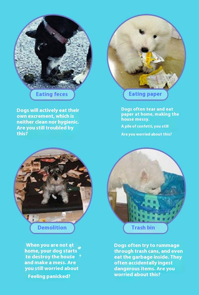 Golosinas Musicales para Perros y Gatos - Snacks Interactivos con Sonido - Image 8