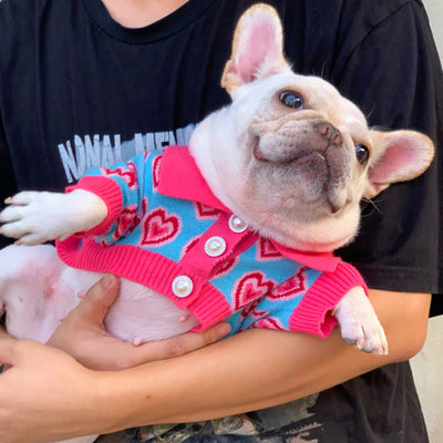 Suéter Abrigador para Perros y Gatos - Diseño Trendy French Schnauzer - Image 10