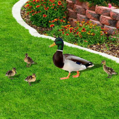 Espejo Acrílico 3D Decorativo Pato Salvaje para Habitación Infantil - Image 4
