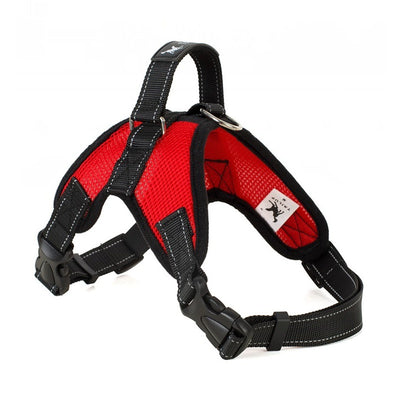 Blue and black mesh dog harness with adjustable straps, a D-ring for leash attachment, and a quick-release buckle. - Image 10