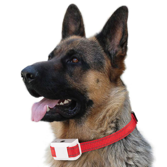 Collar Automático Antiladridos para Perros - Entrenamiento Inteligente