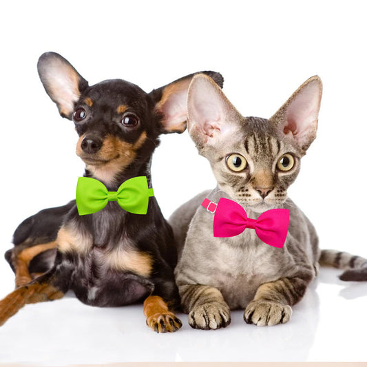 Moño Ajustable para Gatos y Perros - Accesorios para Mascotas - Image 2