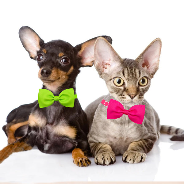 Moño Ajustable para Gatos y Perros - Accesorios para Mascotas