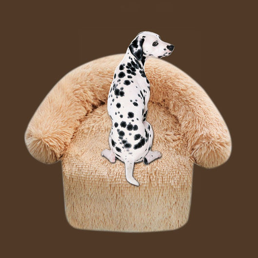 Cama Desmontable y Lavable para Perros con Manta Térmica