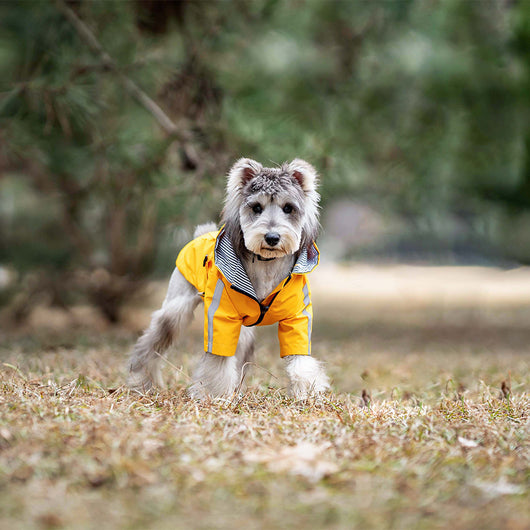 Impermeable para Perros Resistente Todas las Estaciones - Image 4