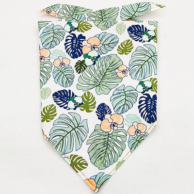 Pañuelo Bandana Absorbente para Mascotas con Diseño Frutal - Image 72