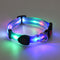 Perro Collar Azul USB