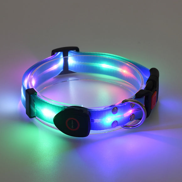 Collar LED Recargable para Mascotas con Correa de Seguridad