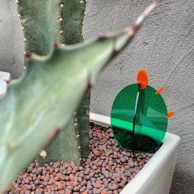Decoración de Escritorio Cactus Acrílico - Image 4