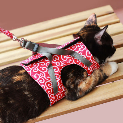 Cuerda de Paseo para Gatos - Image 14