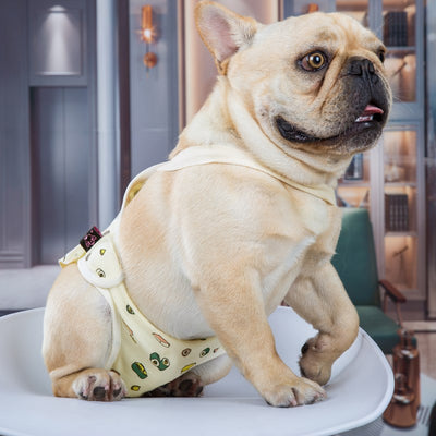 Pantalones Fisiológicos Ajustables para Perras con Diseño de Pug - Image 11